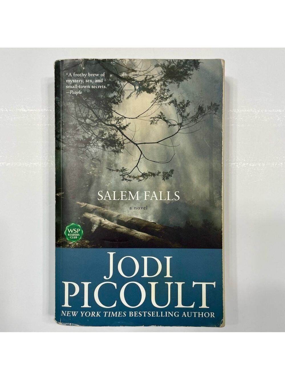 Salem Falls Jodi Picoult Paperback